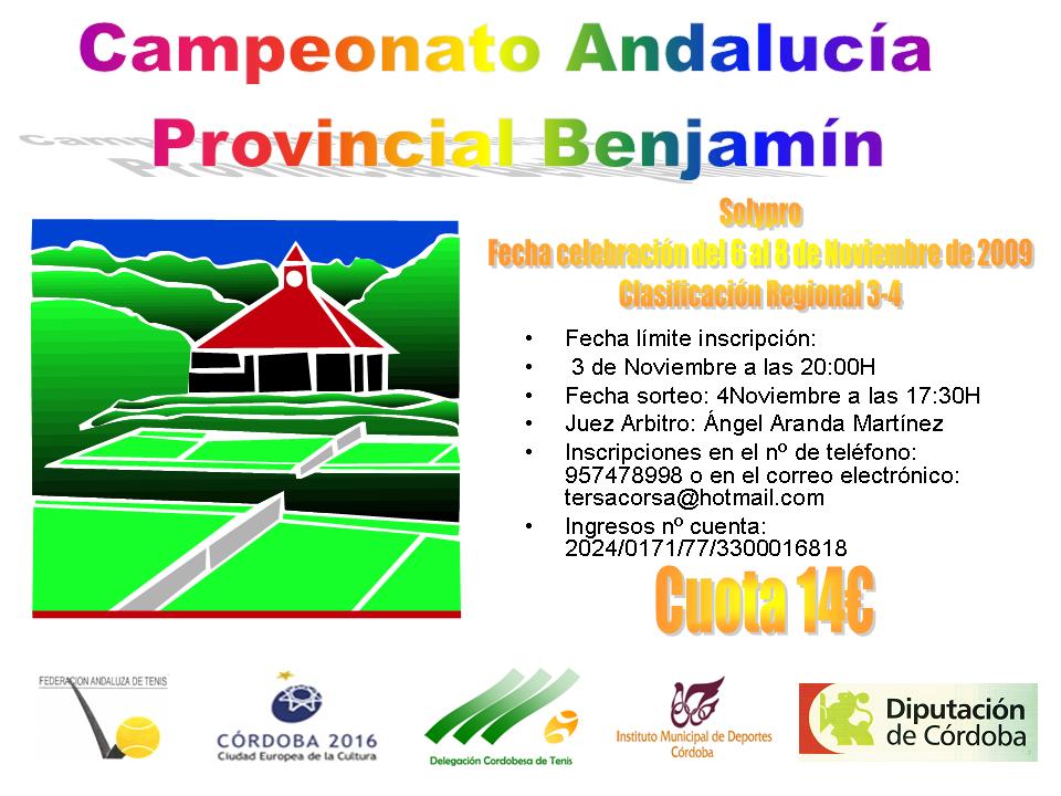 Cartel_Provincial_Benjamn_2009_SOLYPRO
