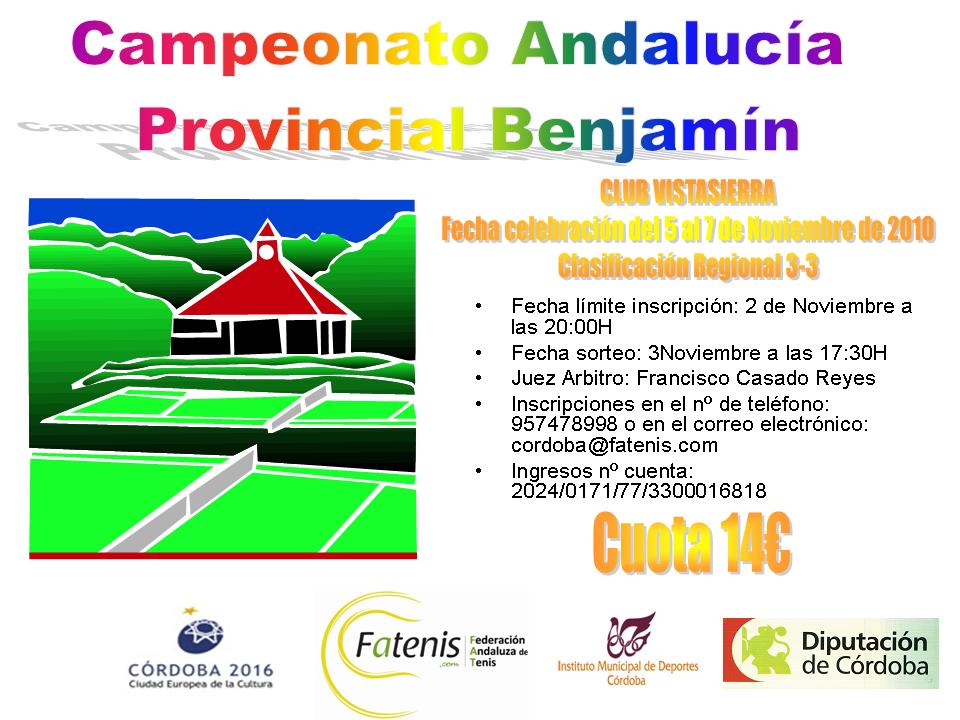 Cartel_Provincial_BENJAMIN_2010_VISTASIERRA