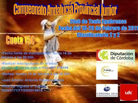 Cartel Provincial Junior 2011