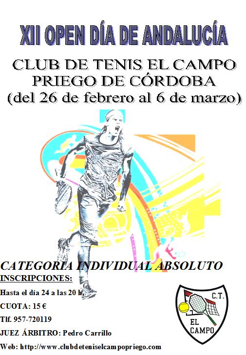 cartel_open_andalucia