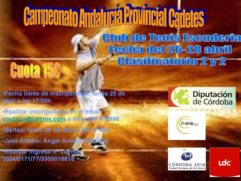 cartel_provincial_CADETES_2011