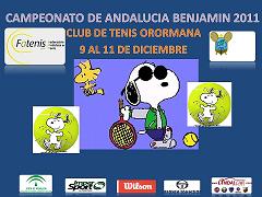 CAMPEONATO_DE_ANDALUCIA_BENJAMIN_2011