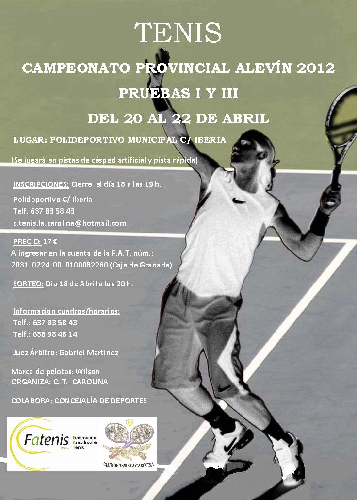 Campeonato Provincial Alevín 2012, clic para ampliar