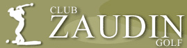 logo-zaudin