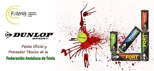 DUNLOP2