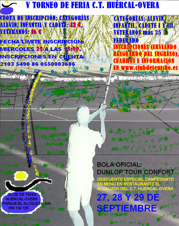 CARTEL TORNEO DE FERIA 2013.foto