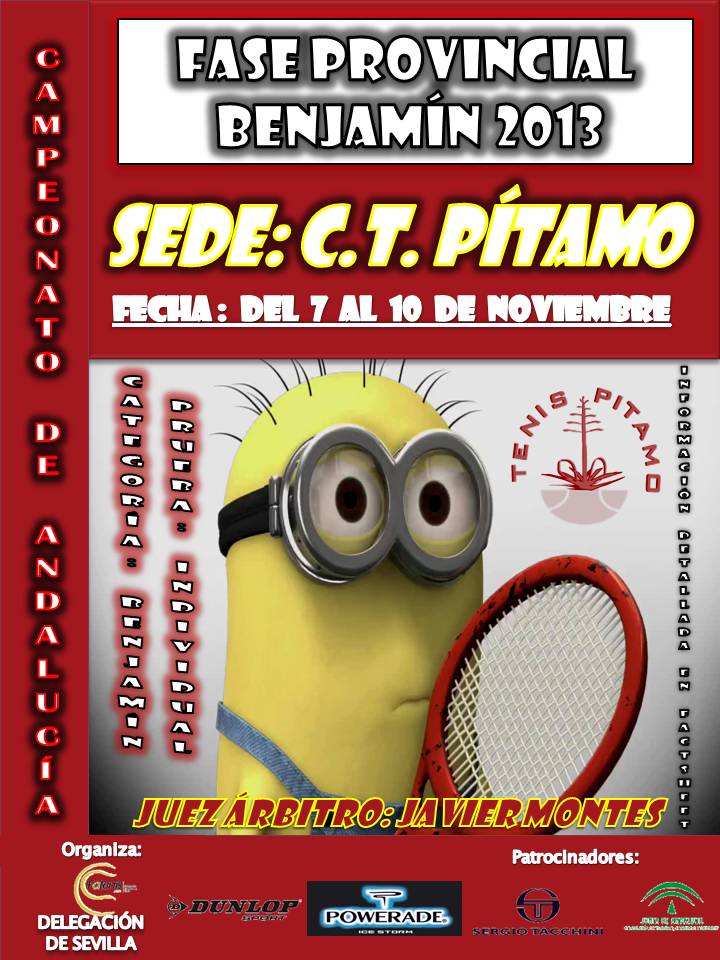 CARTEL PROVINCIAL BJ