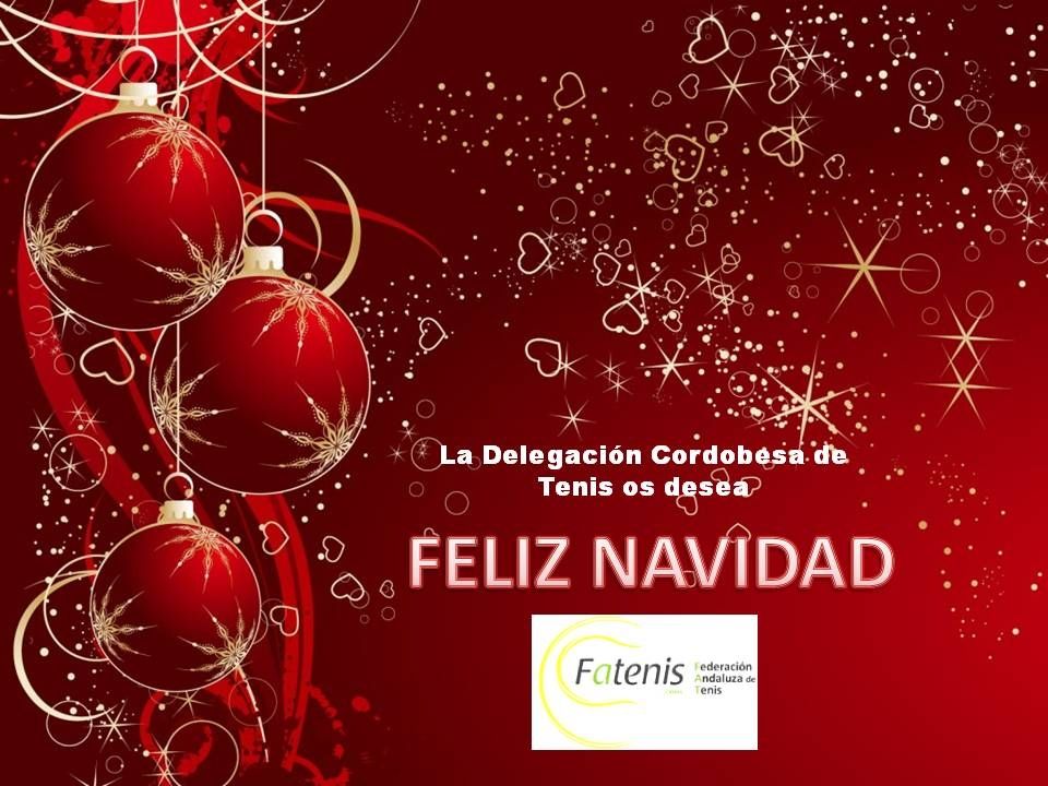 FELIZ NAVIDAD 3