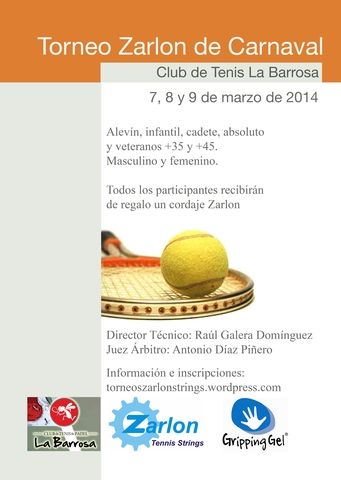 cartel-zarlon-carnaval-2014