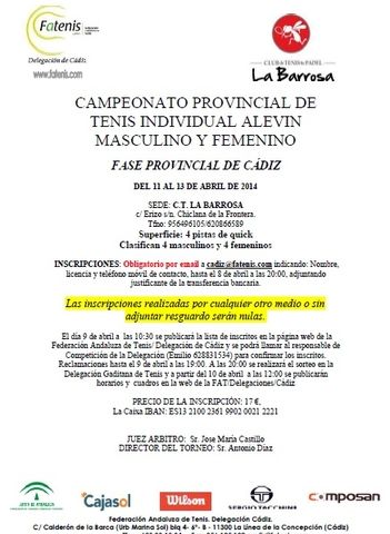 ALEVINCADIZ2014