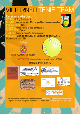 Tenis Team 2014 Absoluto