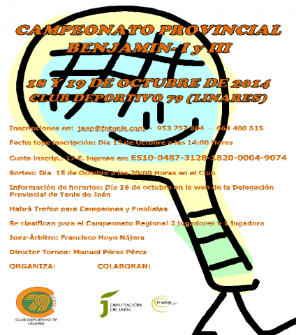 CARTEL CAMPEONATO PROVINCIAL BENJAMIN 2014 copia copia copia