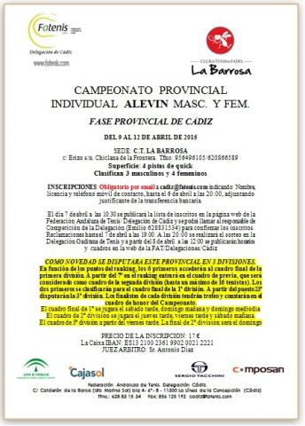 provincialesindividualesALEVIN2015