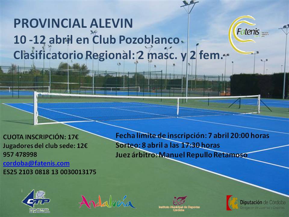 PROVINCIAL ALEVIN 2015