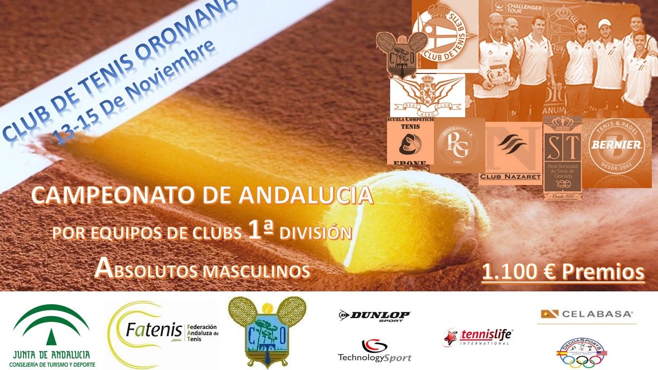 Cartel Cto. Andalucía por Equipos 1ª div