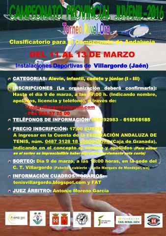 CARTEL Provincial Juvenil 16-Nivel Oro