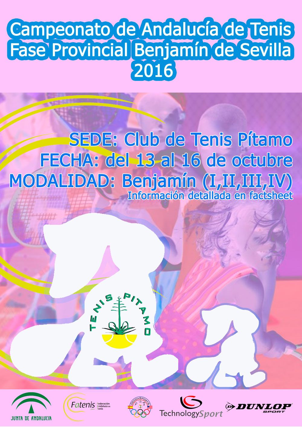 cartel-para-web