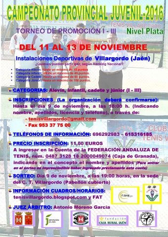 CARTEL Provincial Juvenil 16