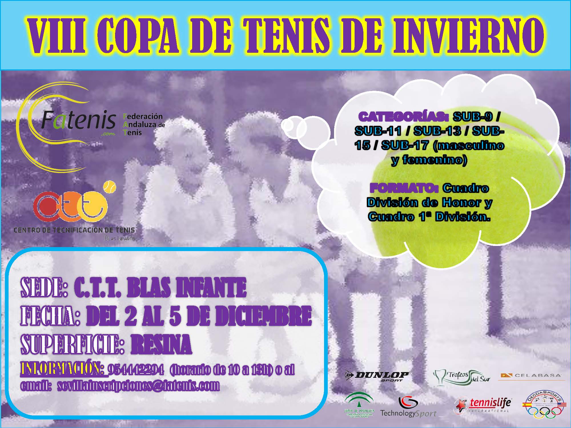 cartel copa invierno