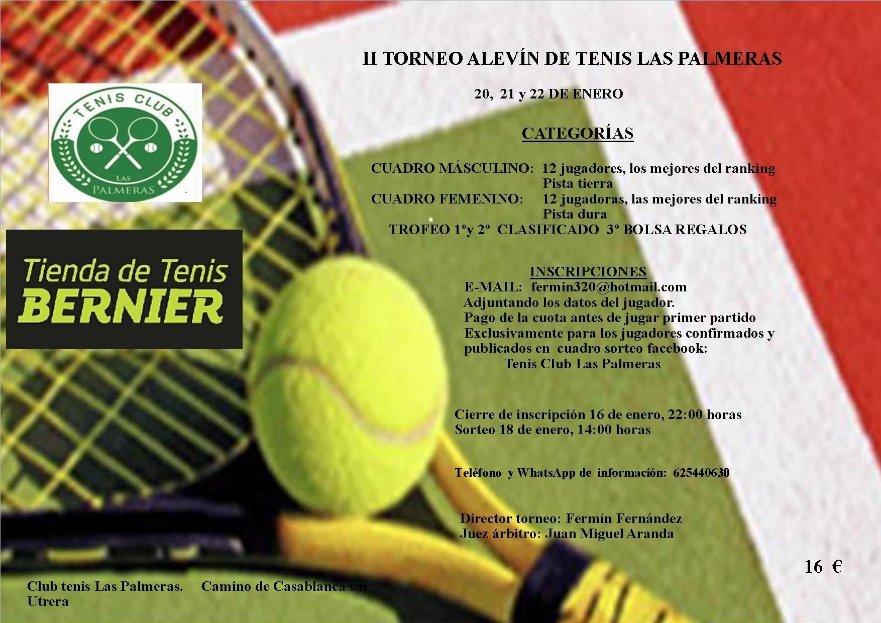 II Alevin las Palmeras1
