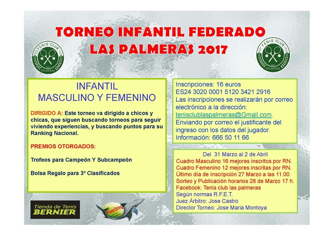 torneo alevin las palmeras