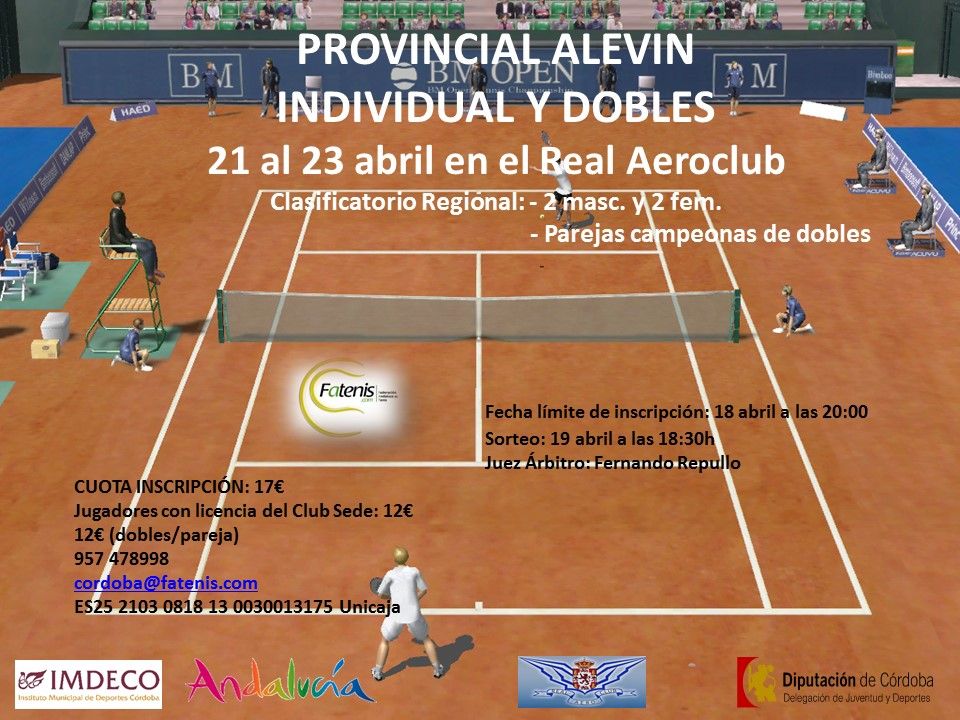 PROVINCIAL ALEVIN 2017