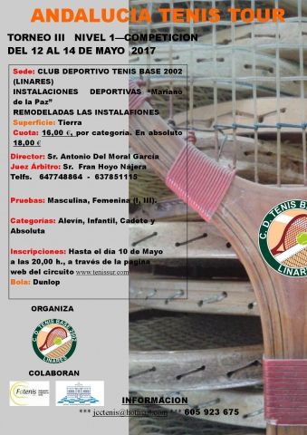 Icartel torneo nivel I competicion 2017