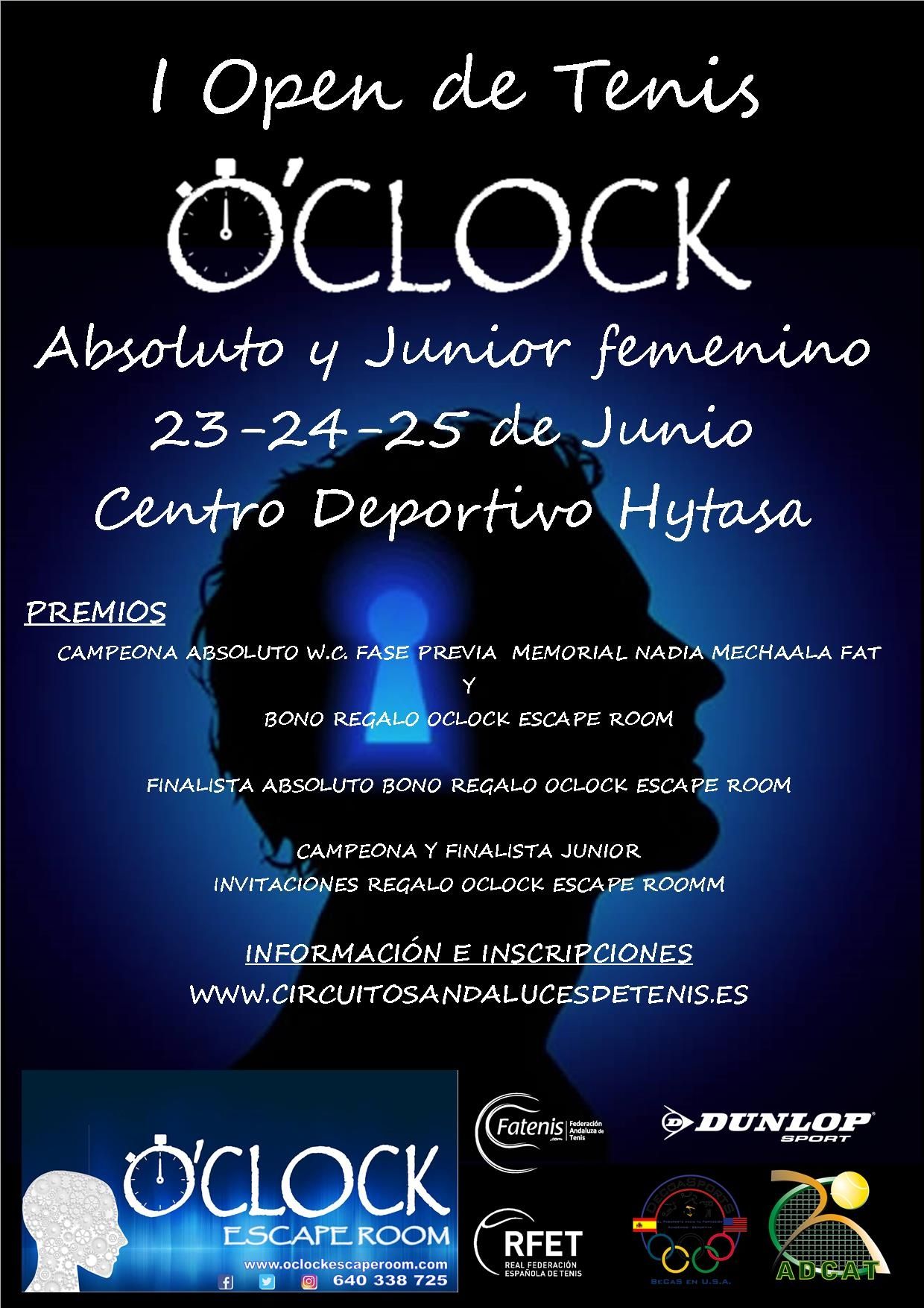cartel open de tenis luis junio