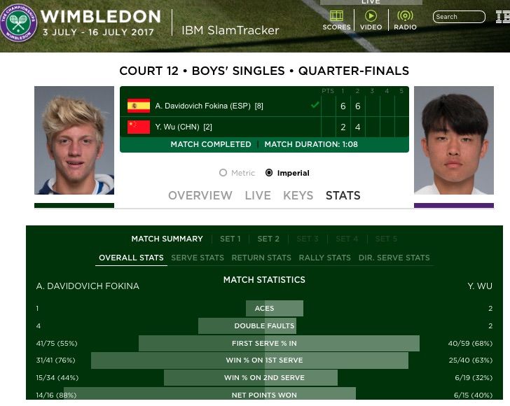 davidovich semis wimbledon