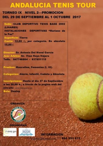 TORNEO IX-NIVEL 2 Promocion-2017 ATT