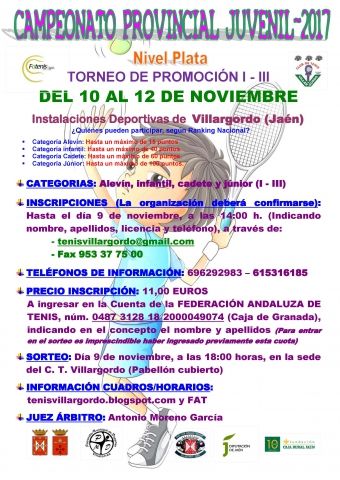 CARTEL Provincial Juvenil 17
