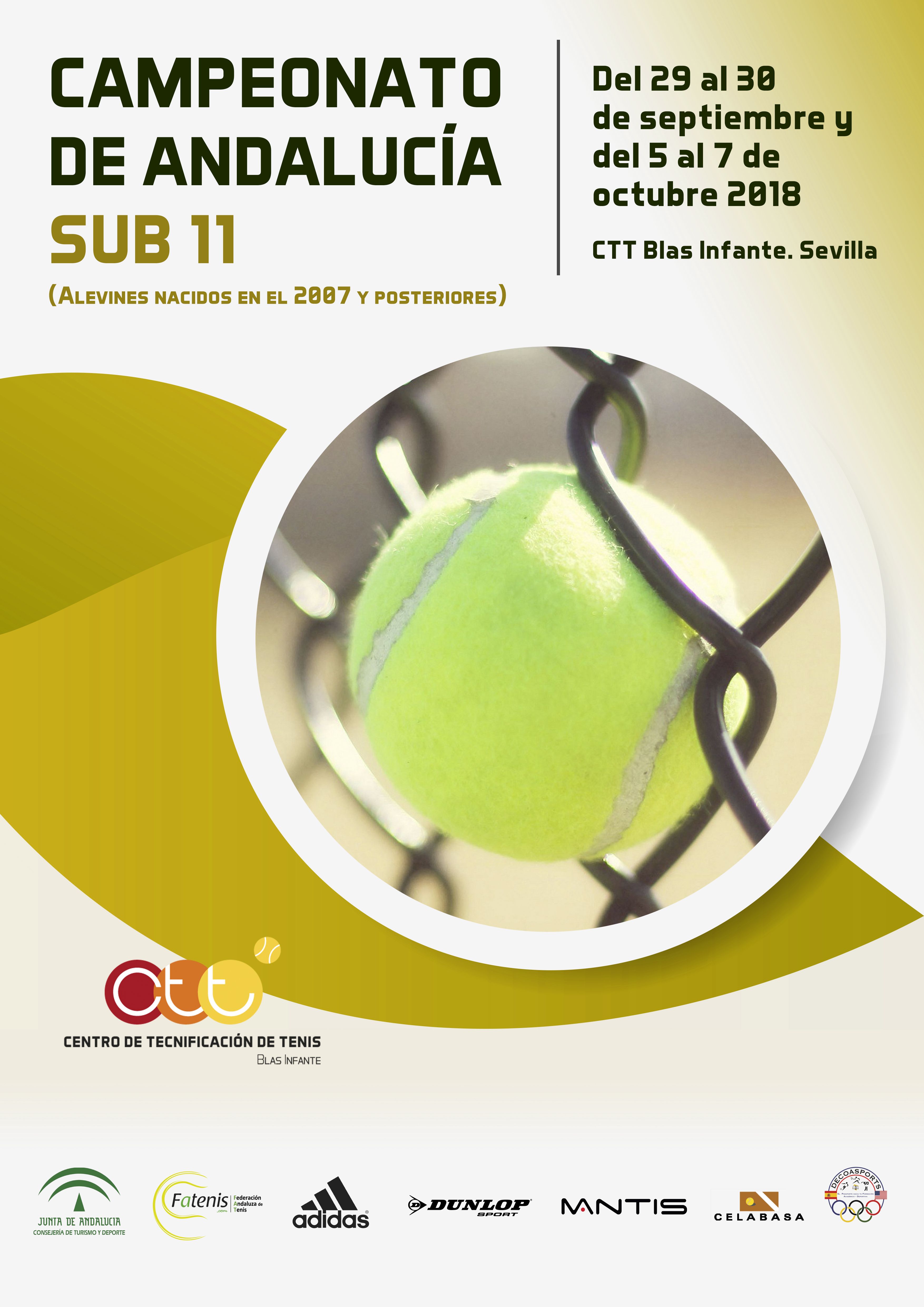 ctoand SUB11